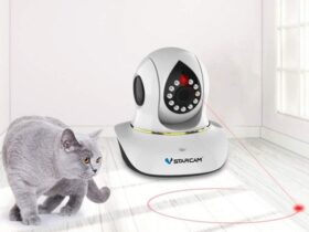 Cat Camera With Laser