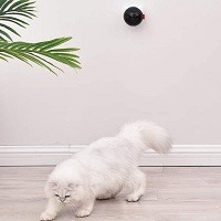 PetDroid Boltz Motion Activated Laser Toy