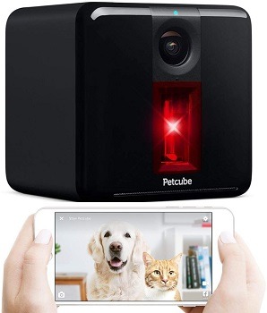 Petcube Play 2 With Interactive Laser Toy Review