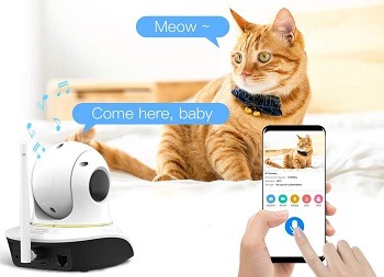 VSTARCAM Wireless Laser Cat Camera review