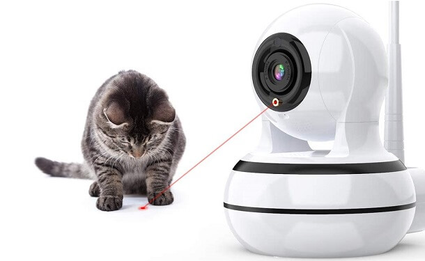 laser type on cat camera