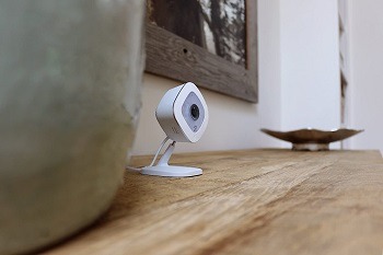 Arlo Q Pet Camera