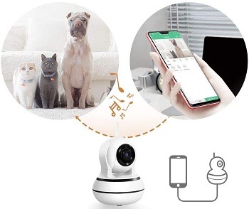 DoogCool Smart Pet Camera Review