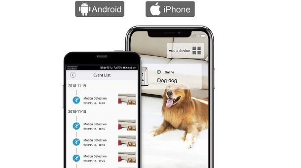 Download the app for wifi dog camera