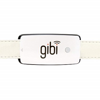 Gibi Dog Locator Collar Review