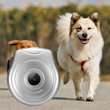 Hanyan Pet Collar Cam Review