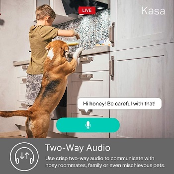 Kasa Interactive Indoor Cam