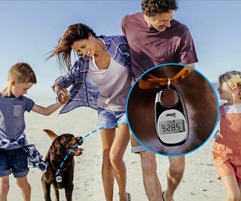 Next-Station Pet Pedometer Review