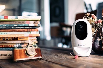 Pawbo Wifi HD Camera Review