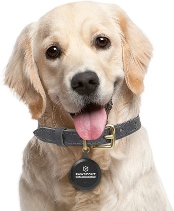 Pawscout Dog Tag Review