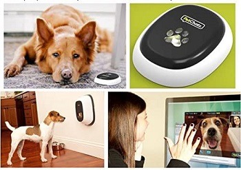 PetChatz HDX Interactive Pet Cam Review