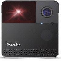 PetcPlay 2 Pet Cam Summary