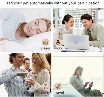 Peteme Dog Feeder