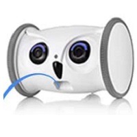 Skymee Owl Robot Summary