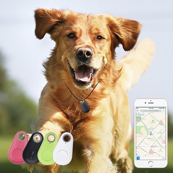 Spy GPS Cat Tag Tracker Review