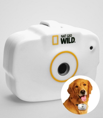 Uncle Milton Pet’s Camera Review