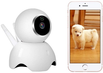 VStoy Pet Camera Review