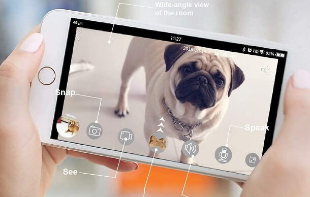 What is a wifi dog camera