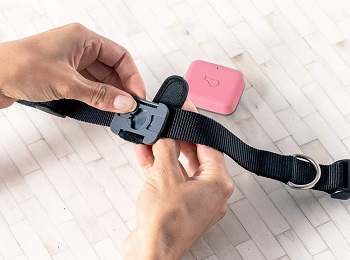 Whistle Go Location Tracker