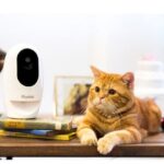 Wifi Pet Camera