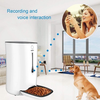 Wopet Smart Dog Cam Feeder