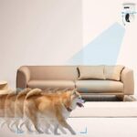 camera to watch dog