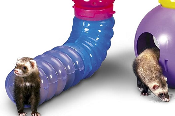 colorful ferret tubes