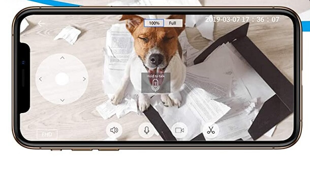 connect your phone with indoor pet camera