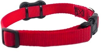 fitbark 2 dog activity monitor Review