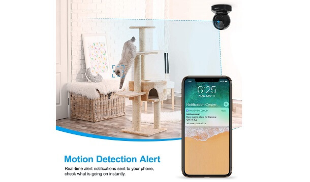 indoor pet camera monitoring