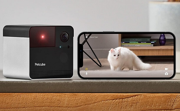 interactive pet camera