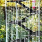 multilevel cage for multiple ferrets