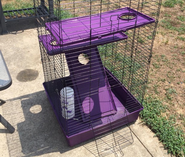 outdoor cage for ferret