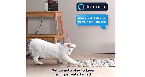 pair interactive camera for pets