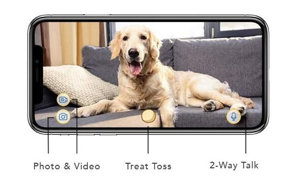 pet home camera features