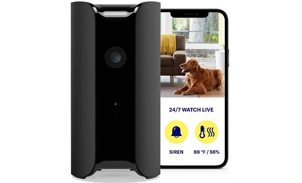 pet monitoring camera with wifi connection