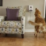 remote dog treat dispenser