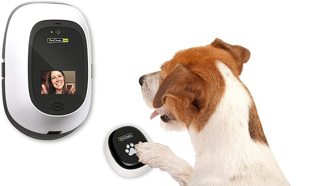 what is interactive dog camera