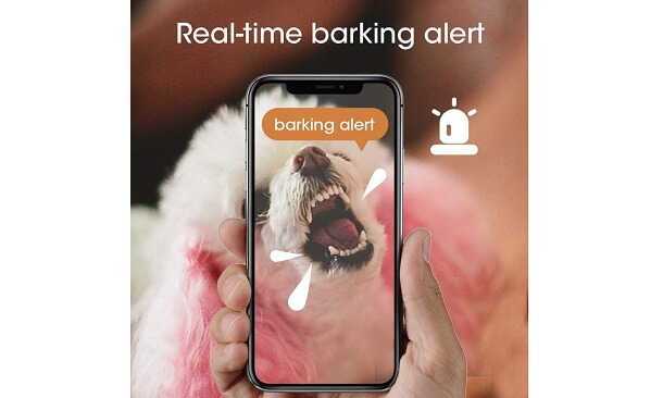 wifi connection on interactive pet camera
