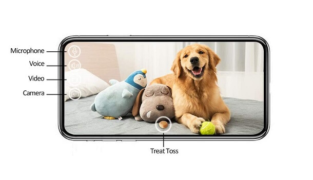 wifi pet camera functions