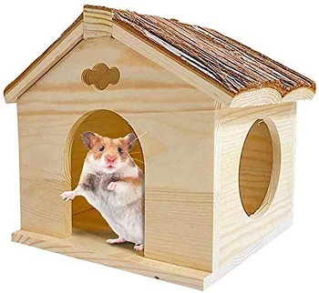 BLSMU Hamster House Review