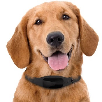 Black+Decker GPS Collar Review