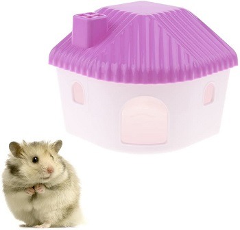 CoscosX Small Hamster House Review