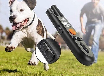 DogCare Training Shock Collar