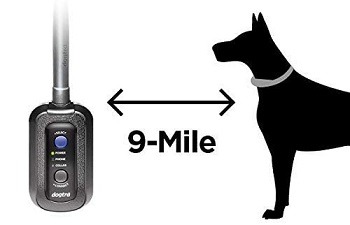 Dogtra Pathfinder GPS Collar Review