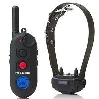 Educator GPS Dog Shock Collar Summary