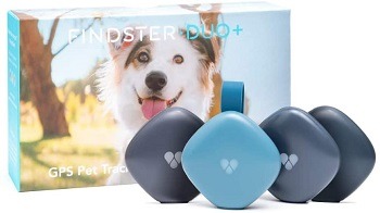 Findster No Fee Dog Tracker Review