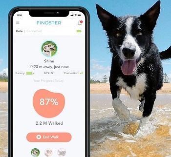 Findster No Fee Dog Tracker