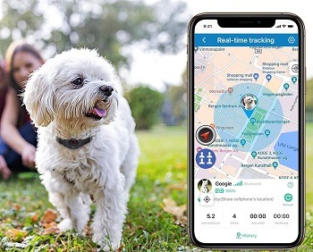 Best 6 GPS Pet Locators And Tags You Can Choose From - Reviews