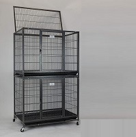 Best 6 Tall Rat Cages For Your Pets Reviewed By Expert